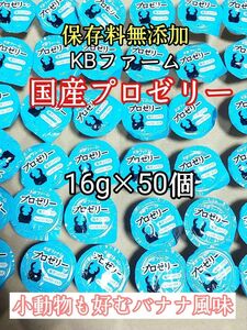 KBファーム 国産プロゼリー16g 50個 カブトムシ クワガタ 昆虫