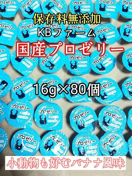 KBファーム 国産プロゼリー16g 80個 カブトムシ クワガタ 昆虫