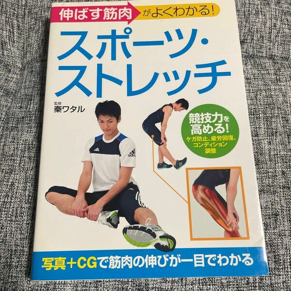 スポーツ・ストレッチ　伸ばす筋肉がよくわかる！ （伸ばす筋肉がよくわかる！） 秦ワタル／監修