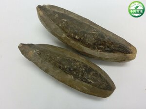 【Y-9608】レア？ 化石？ 魚類 2点セット さかな サカナ 詳細不明 約800g 古代魚？ 現状品【千円市場】