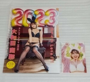 未使用生写真付 大和田南那 カレンダー ブック2023 ぶちうさ Love it!元アイドル グループAKB48グラビア モデル FLASH写真集 9784334871765