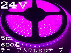 24V シリコンチューブ入り LEDテープ ライト 5m 600連 ピンクパープル 桃 紫トラック モール 漁船 船舶 トラック 屋外照明 間接照明