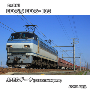 ★鉄道画像【JR貨物】EF66形電気機関車100番台 EF66-133 ■後期型 ■5780レ □撮影:東海道本線 2021/3/15［№0809］