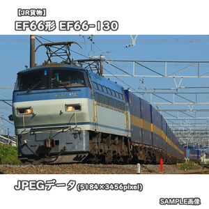 ★鉄道画像【JR貨物】EF66形電気機関車100番台 EF66-130 ■西濃カンガルーライナー □撮影:東海道本線(新垂井線) 2020/10/20［№0772］