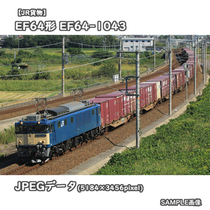 ★デジタル画像【JR貨物】EF64形電気機関車1000番台 EF64-1043 ■国鉄色 ■3075レ □撮影:東海道本線 2019/10/9［№0739］