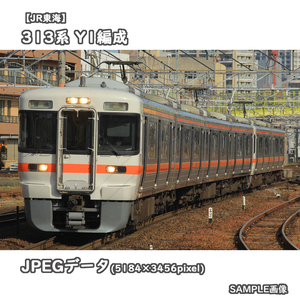 ★鉄道画像【JR東海】313系電車0番台 Y1編成 ■普通:笠寺 □撮影:東海道本線 2021/3/19［№0570］