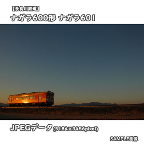 ★鉄道画像【長良川鉄道】ナガラ600形気動車 ナガラ601 □撮影:越美南線 2024/2/11［№0078］