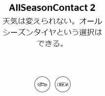 155/65R14 75T 1本 コンチネンタル AllSeasonContact オールシーズン 155/65-14 送料無料_画像2