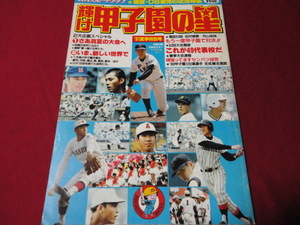 【高校野球】輝け甲子園の星　1981年夏季号　OB球児回顧＆第63回夏の選手権大会予選展望号（昭和56年）