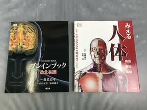 浜/南江堂/Steve Parker著/養老孟司監訳/「みえる」シリーズ/2冊セットまとめ売り/みえる人体/見える脳/フルカラー/傷有り/2.1-22 MO