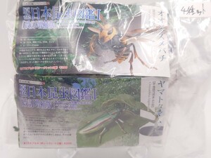 原色日本昆虫図鑑Ⅰ 改訂増補版 ４種セット　オオスズメバチ　ヤマトタマムシ　ミンミンゼミ　カブトムシ