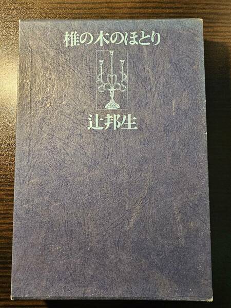 椎の木のほとり / 著者 辻邦生 / 中央公論社 初版