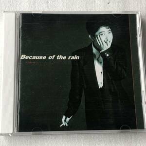 中古CD 椎名恵/ Because of the rain (1991年)