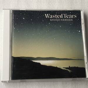 中古CD 浜田 省吾/Wasted Tears (1989年)