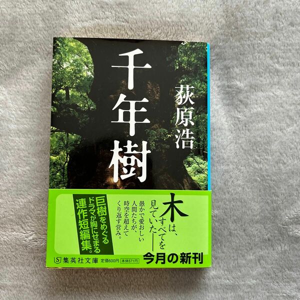 千年樹 （集英社文庫　お５２－４） 荻原浩／著