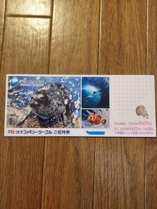 新江ノ島水族館 ご招待券１～6枚 ★即決★24年3/31迄