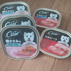 値下げ！犬用シーザー缶詰6個(3種類)