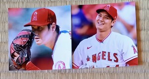 大谷翔平選手 フォト(四角)