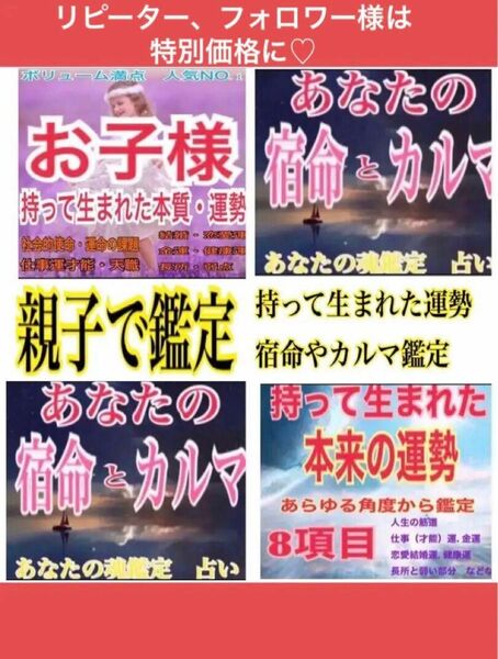 19000円に鑑定します！親子で鑑定１人あたり17項目使命、人生の道筋、仕事人間関　金運　健康　占い鑑定