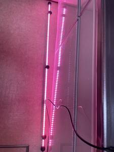 アロワナライト　LED水中照明アクアリウム熱帯魚　紅龍150センチ水槽用極美品　でんらい