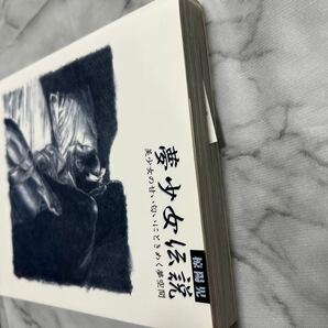 椋陽児 夢少女伝説 マイウェイムック 画集 イラスト集 SM 緊縛 の画像5