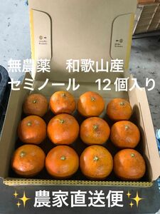 【訳あり品　無農薬　和歌山産　セミノール 12個入り　農家直送便】