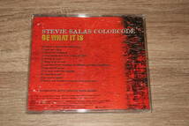 Stevie Salas Colorcode (スティーヴィー・サラス・カラーコード)　廃盤CD「ビー・ワット・イット・イズ」 (小室哲哉、稲葉浩志 参加)_画像3