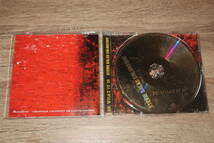 Stevie Salas Colorcode (スティーヴィー・サラス・カラーコード)　廃盤CD「ビー・ワット・イット・イズ」 (小室哲哉、稲葉浩志 参加)_画像2