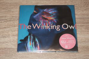 The Winking Owl (ザ・ウィンキング・オウル)　新品未開封CD「Into Another World」