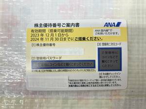 ANA ANAホールディングス株式会社 株主優待券 2024年11月30日迄 1枚 番号通知のみ NO.7