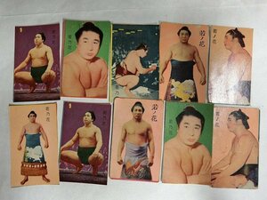 A2130 昭和30年代 大相撲力士カード 若ノ花 10枚 当時物