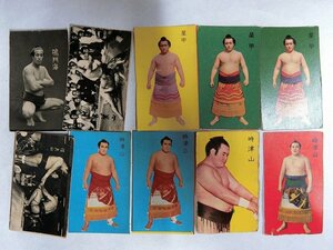 A2137 昭和30年代 大相撲力士カード 時津山他 10枚 当時物