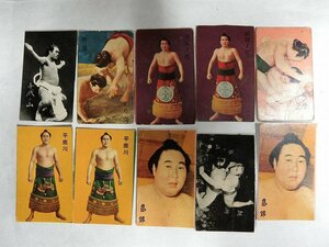 A2141 昭和30年代 大相撲力士カード 10枚 当時物