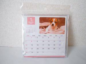 ★新品★2024年　いぬ(犬・イヌ)　卓上カレンダー・ケース入り　　月ごとに犬の種類が違うよ!