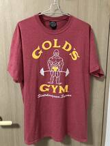 ゴールドジム GOLD'S GYM 埼玉新所沢 ネームドロップ Tシャツ_画像1