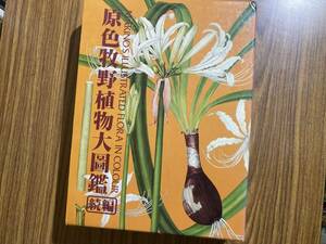 原色牧野植物大図鑑　続編　 北隆館　牧野富太郎著　