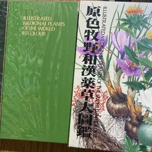 大図鑑 原色牧野和漢薬草大図鑑 三橋博 北隆館 昭和63年の画像4