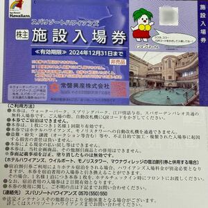 【1~9枚★送料込】スパリゾートハワイアンズ株主優待 施設入場券★常磐興産株主優待★有効期限2024年12月31日