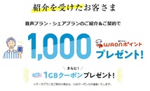 イオンモバイル エントリーパッケージ 事務手数料無料+1000p紹介コード付き エントリーコード_画像2