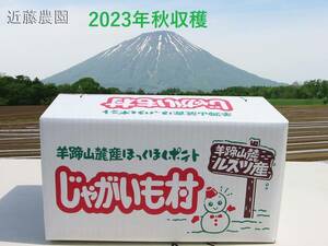 (近藤農園直送)北海道羊蹄山麓産【きたあかり 混み玉】 10kg 