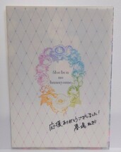 五等分の花嫁 完結記念 期間限定受注製造 A4クリアファイル 中野 一花 二乃 三玖 四葉 五月_画像5