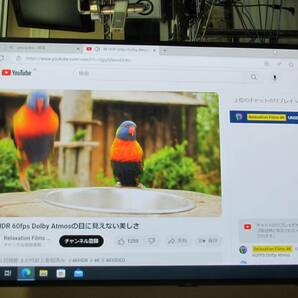 ◆札幌発 NEC MultiSync LCD-P554 55型 パブリックディスプレイ リモコン付属  引き取り対応可 2019年製◆の画像3