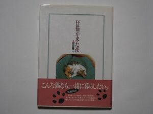 沼田陽一　仔猫が来た夜　単行本　K・Kベストセラーズ