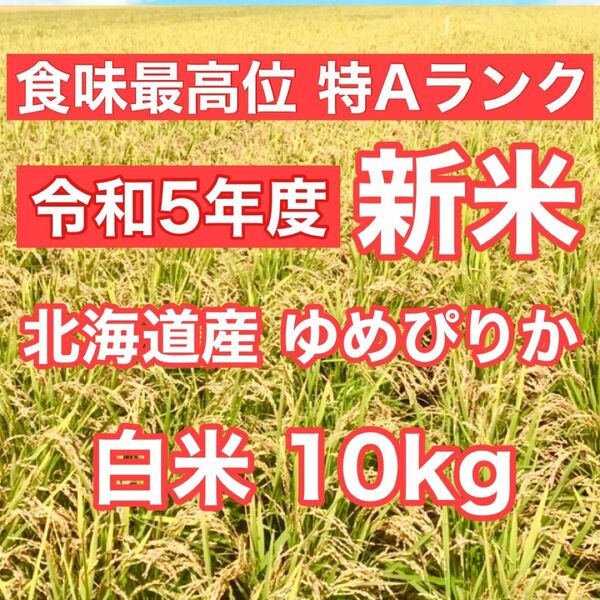 令和5年産 新米 北海道米 ゆめぴりか 白米10kg 玄米可 送料無料 ブランド米