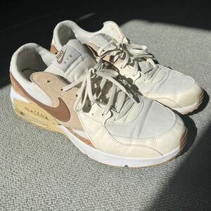 NIKE AIR MAX EXCEE ナイキ エアマックス　エクシー　29cm 29 DJ1975-001 