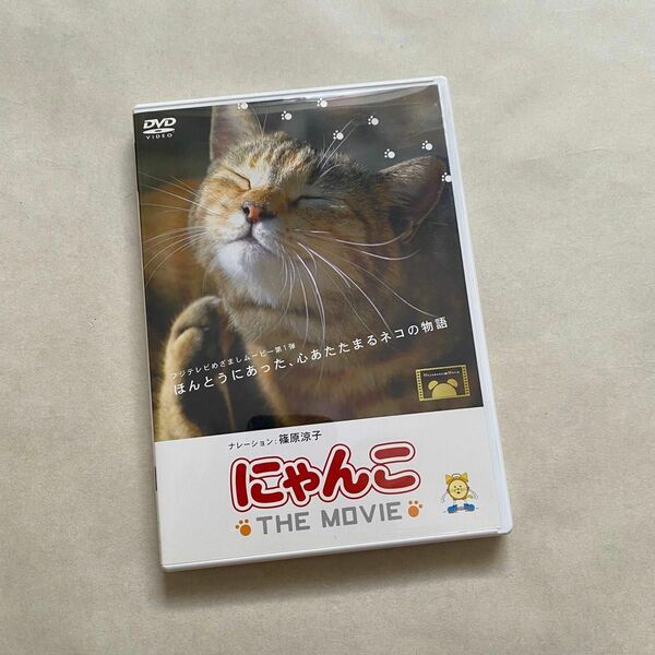 DVD にゃんこ ＴＨＥ ＭＯＶＩＥ めざましムービー ネコ 猫 映画