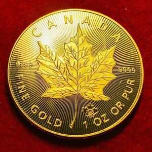 カナダ 2020年　エリザベス2世記念 メイプルリーフ金貨 大型金貨 カプセル付き　古銭 