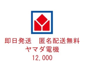 ◆即日発送 匿名配送無料◆ ヤマダ電機 株主優待券 12000円(500円24枚) YAMADA テックランド ベスト電器 マツヤデンキ IDC OTSUKA ◆最新◆