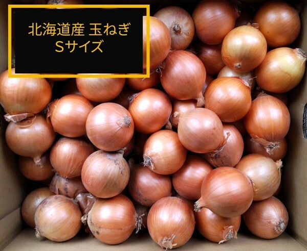 ◆北海道産　玉ねぎ　Ｓサイズ　約１０キロ