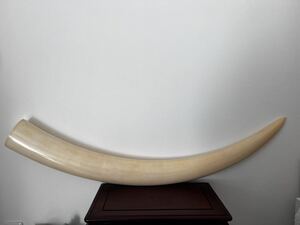 置物 無彫刻 一本 白材芯料 天然素材 東洋彫刻 全長111.0cm 重量8.00kg